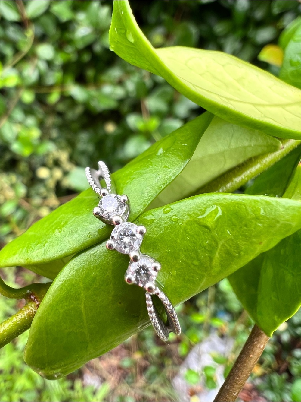 White gold natural diamond three stone ring.